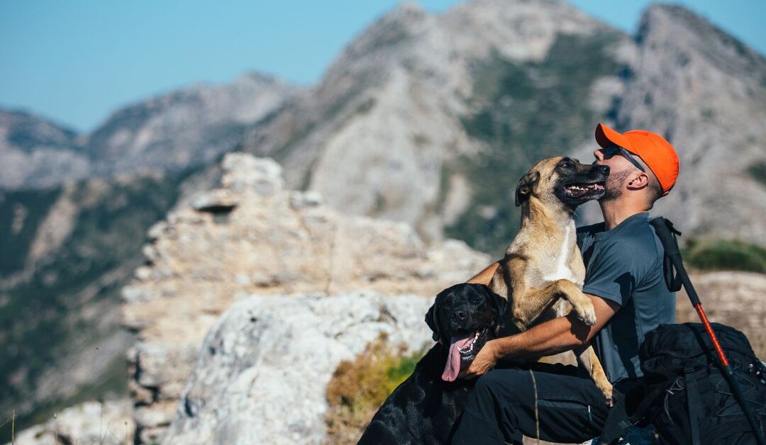 Adventure-Ready Pets: Top Outdoor Gear for Your Furry Friend